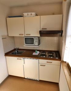 Apartment 10 - Ferienresidenz Roseneck, mit Schwimmbad in Todtnauberg bei Feldberg