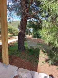 Robinson house Soline