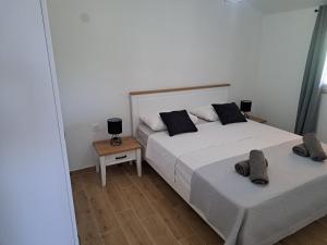 Robinson house Soline