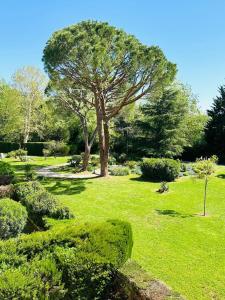 Appartements Spacieux 2 chambres 65m2 climatise au village medieval entre Nice et Antibes : photos des chambres