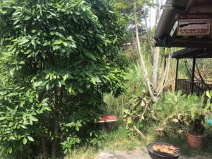 Medellin Antioquia Eco Hostel Montañita Tours & Desayuno Paisa Incluido