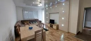 ARIA - 米特罗维察