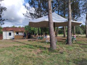 Campings Tiny House : photos des chambres