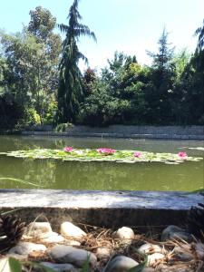 DOM GOŚCINNY NAD JEZIOREM BIAŁYM