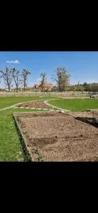 Pole biwakowe U Marcina - Gardeja