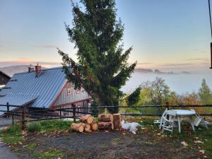 Roubenka Jizerka v horách Jizerských