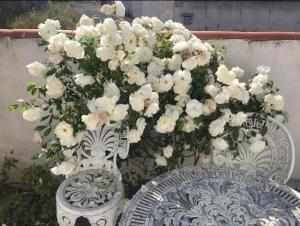 Cosy Studio Mezzanine 2 personnes Plage de Mardi Gras le Vieil