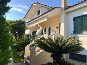 Agiokampos Harmony 2 - 内欧斯皮尔戈斯