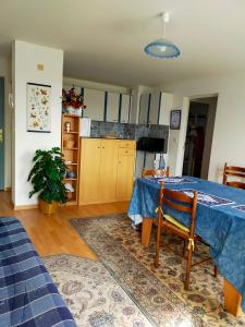 Appartements Beau T3 a Vaux sur mer, piscine ete , parc , wifi , plage a 400 m : photos des chambres