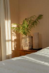 Hotel y Restaurant Doña Rode