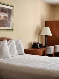 豪华旅馆&套房酒店 - 弗瑞斯科