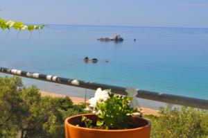 Pool Apartments with panoramic Pelekas Beach view