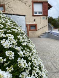 Maisons de vacances Le Refuge de l'Ours : photos des chambres