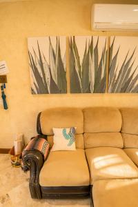 Cabos Hidden Gem! Steps to the Marina or Beach