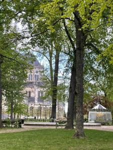 obrázek - Cathedral view