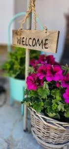 Velem Spirit Apartment - Lochenhaus