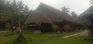 Mentawai Ebay Playground Surfcamp