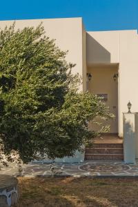 Olive Studios Karpathos Studio #4