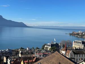 obrázek - Amazing lake view Montreux