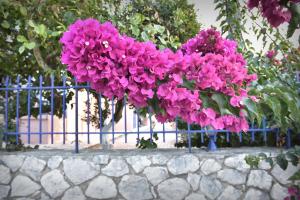 Moulinos Cottages Kefalonia