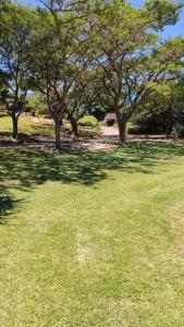 Serenity Alpaca Self Catering Cottage