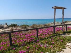 obrázek - Casa a due passi dal mare Salento