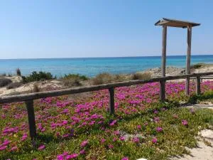 Home Salento 2 - 莫尔恰诺迪莱乌卡 Home Salento 2 - 莫尔恰诺迪莱乌卡