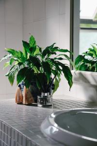 Tiffanys Beach House in Salt Rock