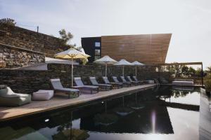 Five Olive Dream Trip