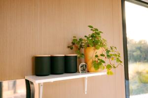 Rimu View 2 by Tiny Away