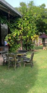 Aaira 8Pari Riverview Lodge