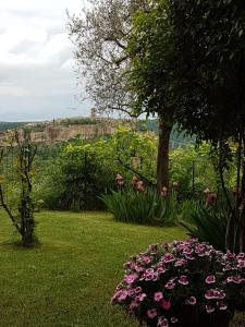 obrázek - Casa con vista mozzafiato su Civita di Bagnoregio