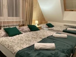 Apartamenty u Zurka - 新塔尔格