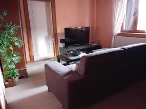 Appartements appartement spacieux dans joli village alsacien : photos des chambres