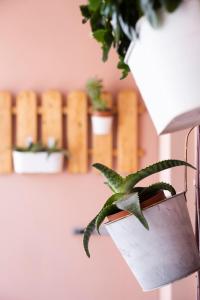 Onar Syros - Rustic Rooms