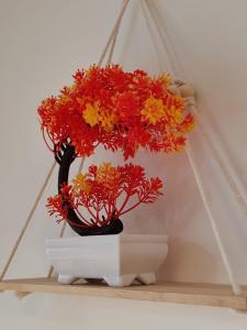 Brunarica Dolce Vita 85