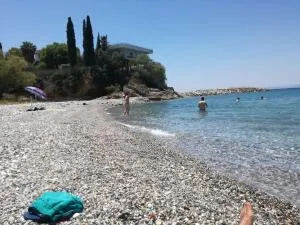 KATE'S House - Avía