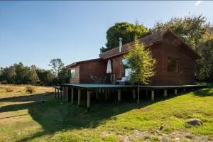 Villarrica Cabin 2BR with Fireplace and terrace - Catrico