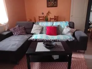 appartement spacieux dans joli village alsacien - 巴尔