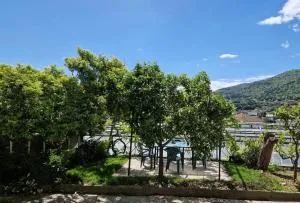 La Strelizia - Molino Nuovo