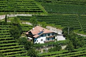 Hof am Rain - Penone