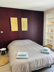 Appartements Le cosy de la Dent du Chat - Classe 3 etoiles - Hyper centre Aix les Bains : photos des chambres