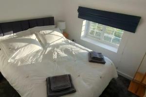 Pond Puddle at Pond Pool Cottage