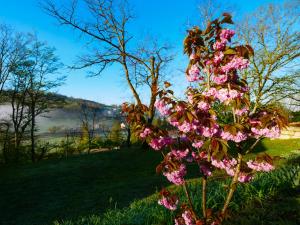 Villas Gite des Marronniers-gitesdesbalcons-com : photos des chambres