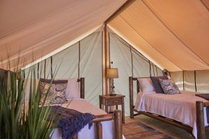 Jellystone Park Chincoteague Island