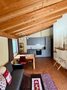 Aladin Apartments St Moritz - 圣莫里茨