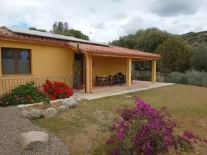 Bisu La Casa dei Sogni IUN R8622 - Terra Mala