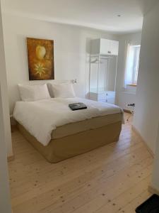 Ankogel Lofts Mallnitz