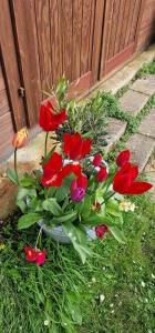 Cherry Orchard Retreat