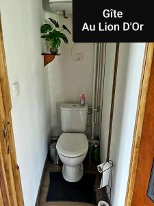 Appartements Au Lion d'Or : photos des chambres